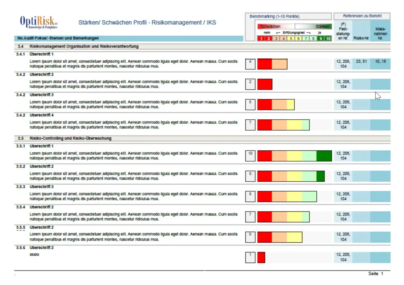 audit risikomanagement, stärken-/schwächenprofil